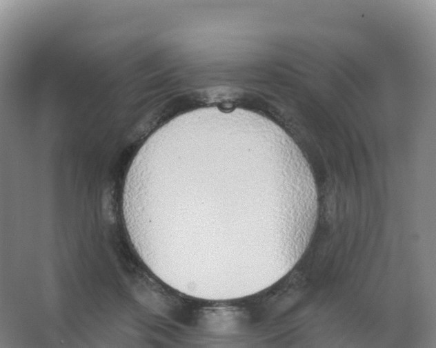 X0000066970316200604142147