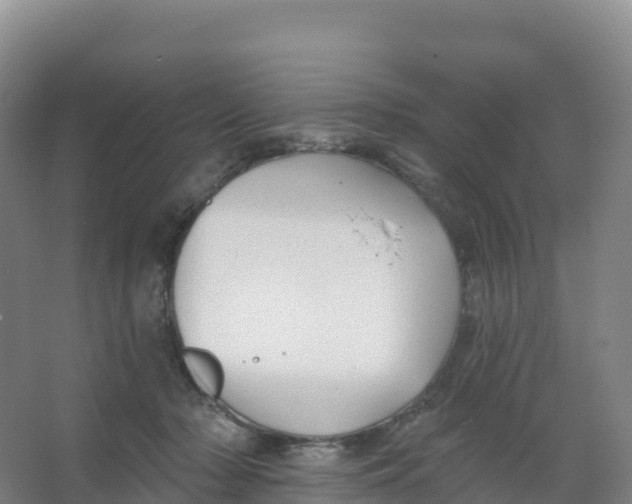 X0000066970318200604142147