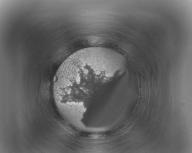 X0000066970319200604142147