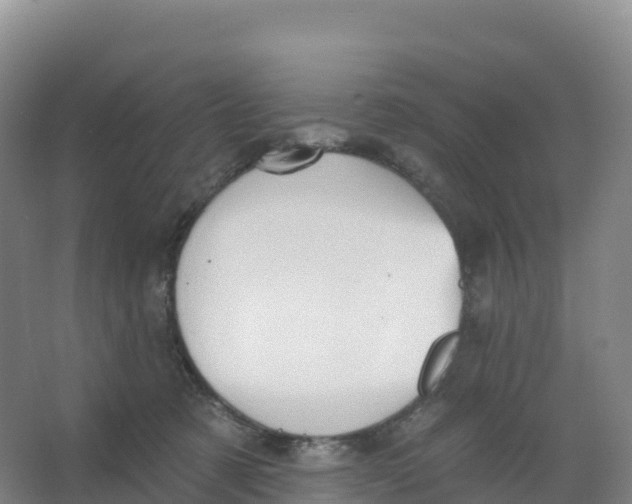 X0000066970321200604142147