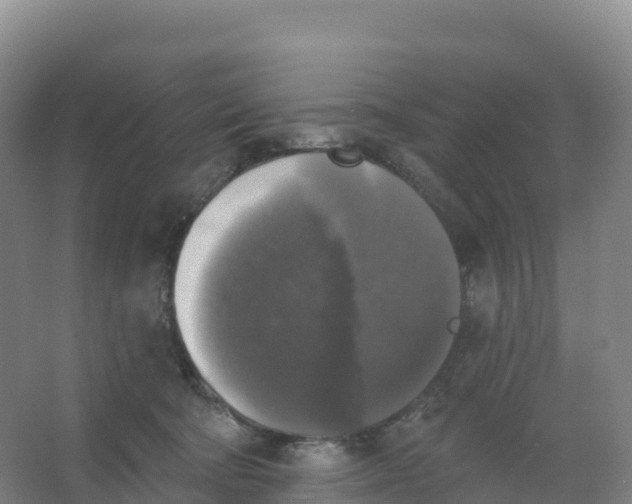 X0000066970322200604142147