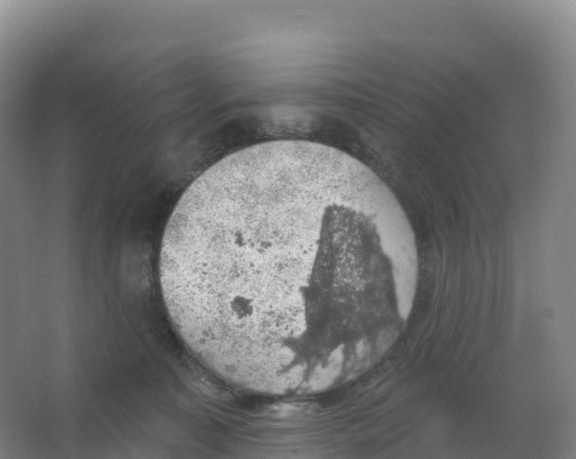 X0000066970323200604142147