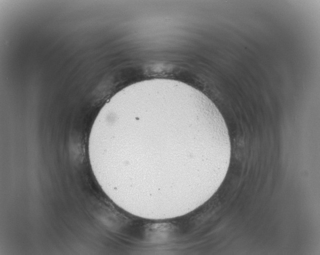 X0000066970324200604142147