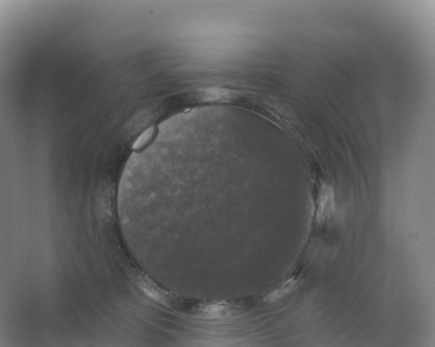 X0000066970325200604142147