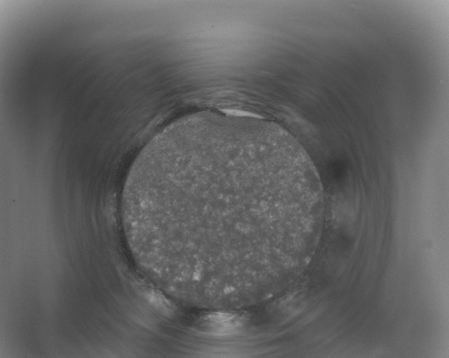 X0000066970326200604142147