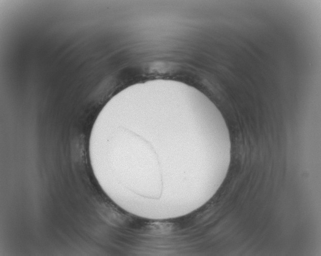 X0000066970328200604142147