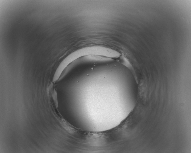 X0000066970329200604142147