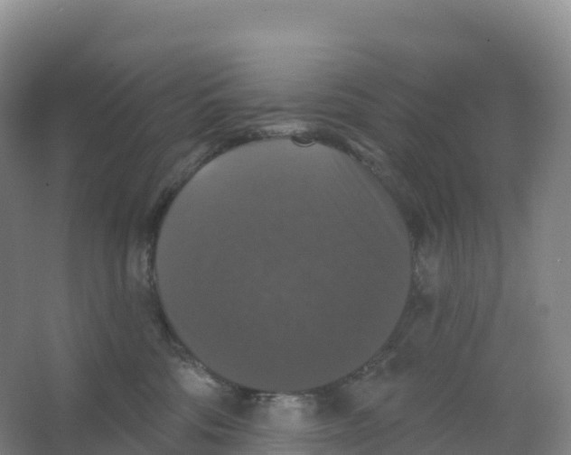 X0000066970330200604142147