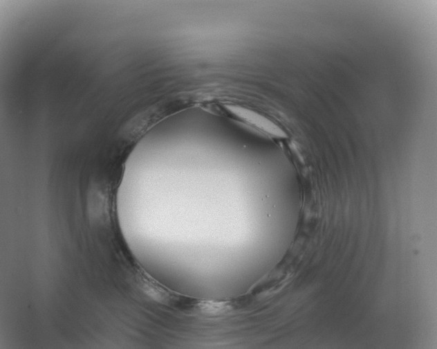 X0000066970333200604142147