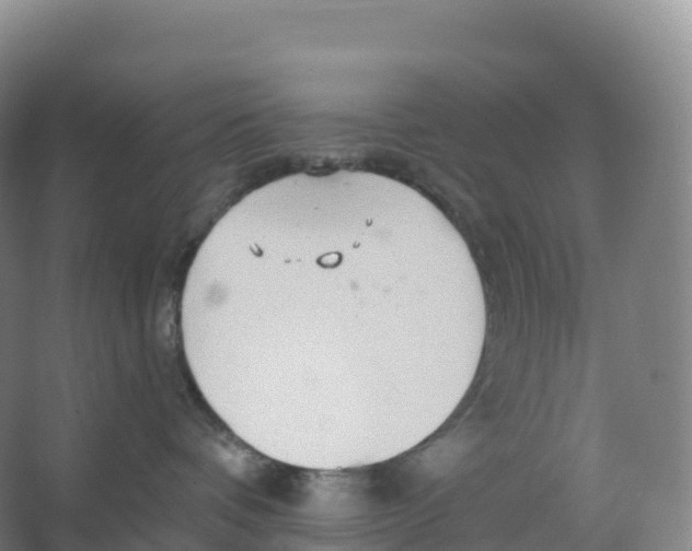 X0000066970336200604142147