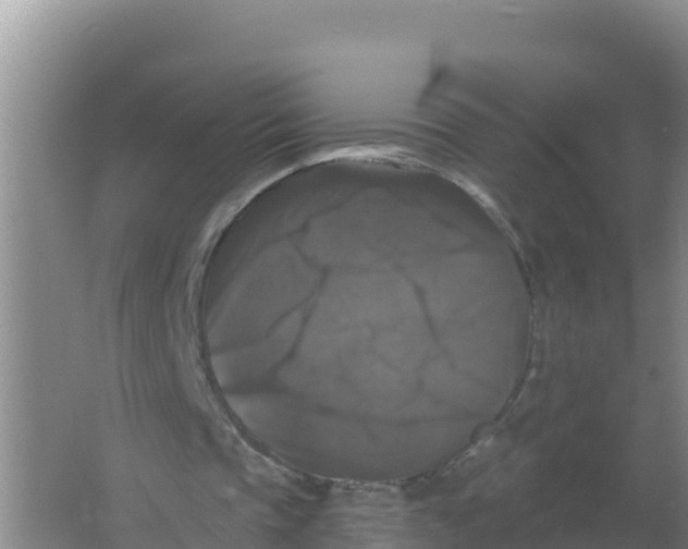 X0000066970337200604142146