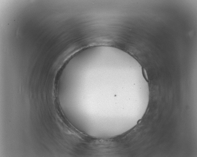 X0000066970338200604142146