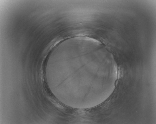 X0000066970339200604142146