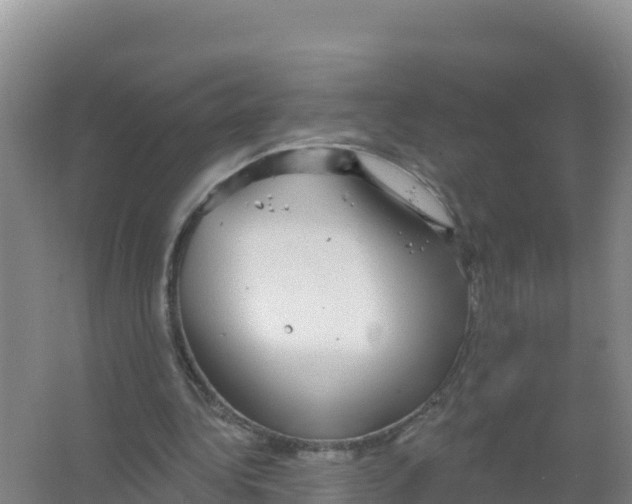 X0000066970340200604142146