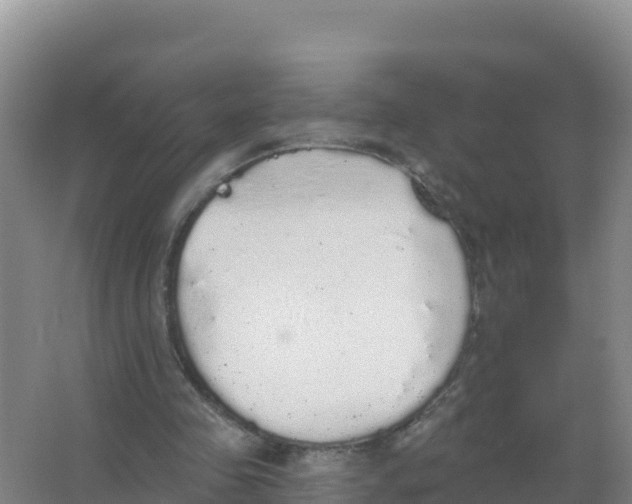 X0000066970341200604142146