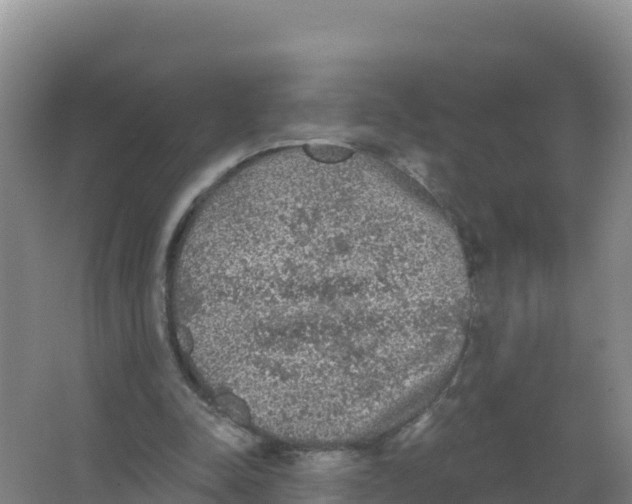 X0000066970342200604142146