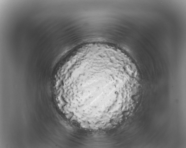 X0000066970345200604142146