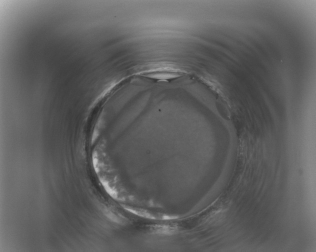 X0000066970347200604142146