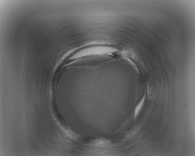 X0000066970348200604142146