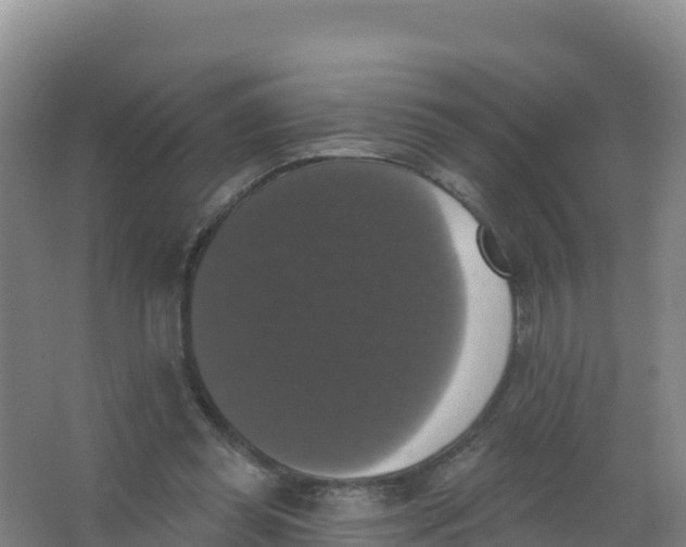 X0000066970349200604142146