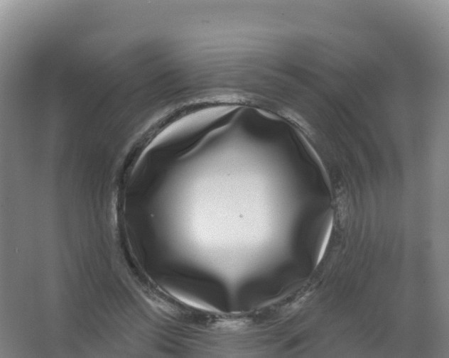 X0000066970350200604142146