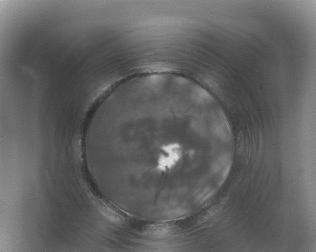 X0000066970351200604142146