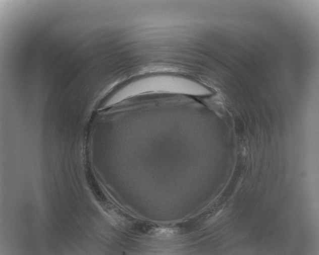 X0000066970352200604142146