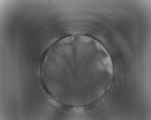 X0000066970353200604142147