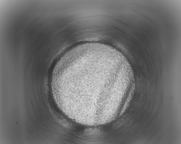 X0000066970354200604142147