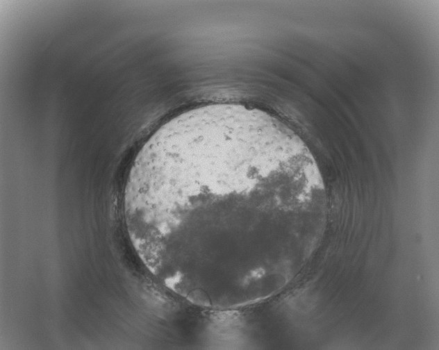 X0000066970355200604142147