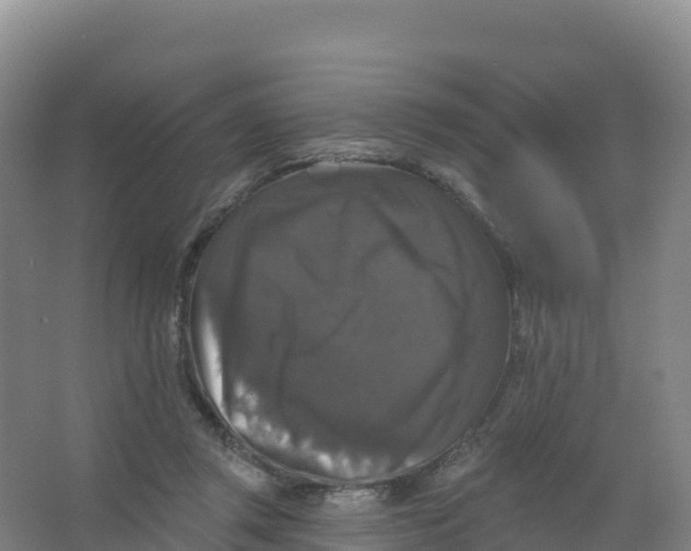 X0000066970357200604142147