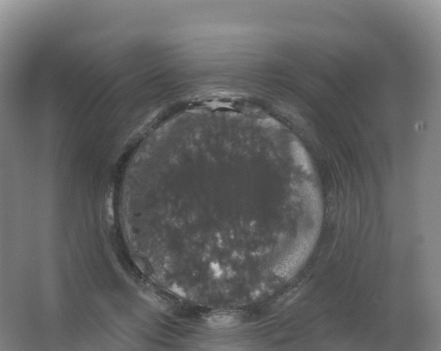 X0000066970358200604142147