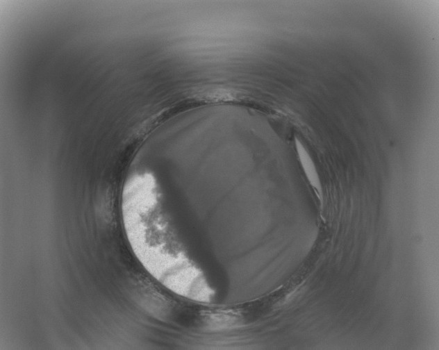 X0000066970359200604142147