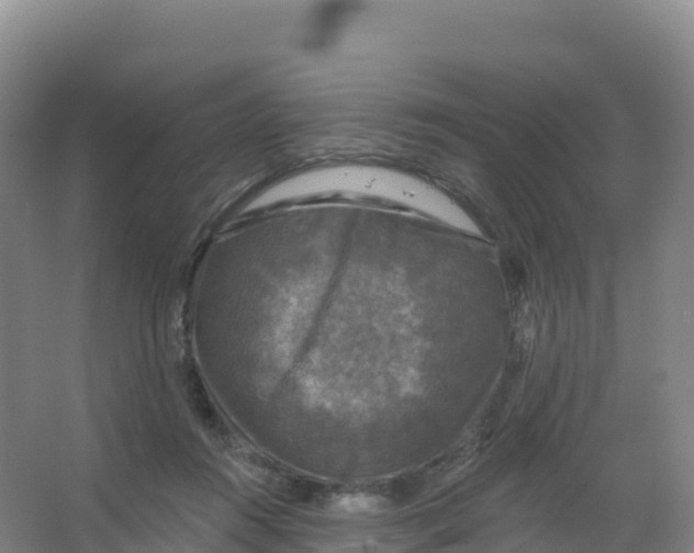 X0000066970360200604142147