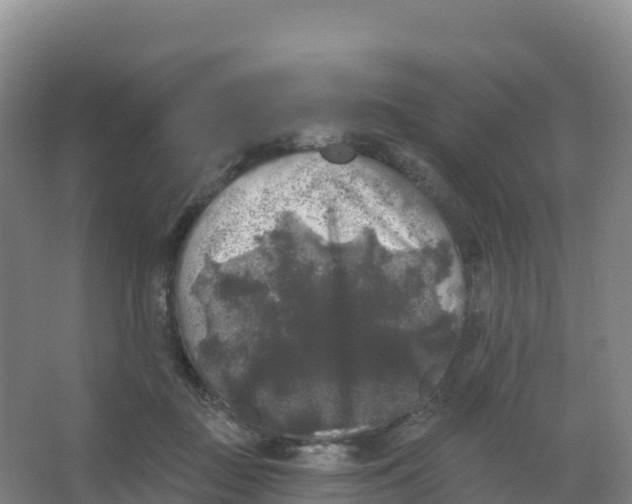 X0000066970363200604142147