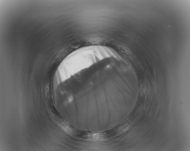 X0000066970365200604142147