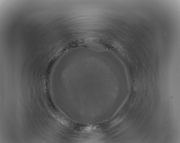 X0000066970366200604142147