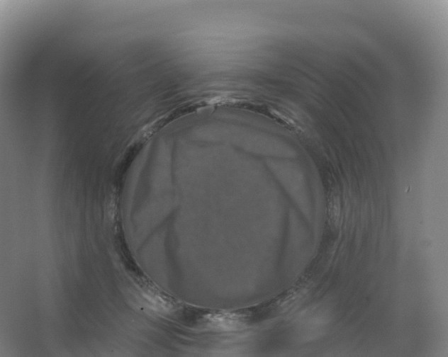 X0000066970367200604142147