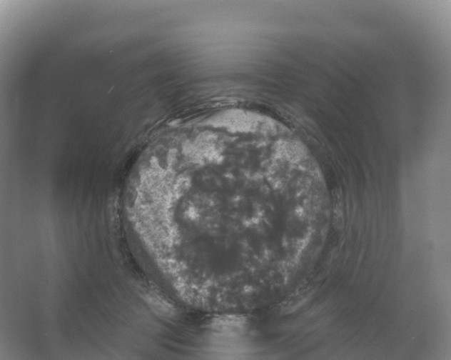 X0000066970369200604142147