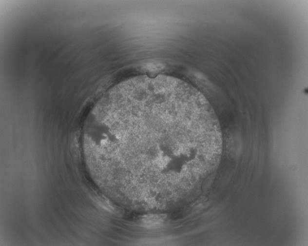 X0000066970373200604142147