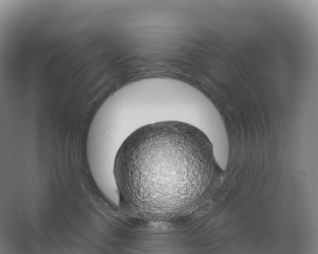 X0000066970376200604142147