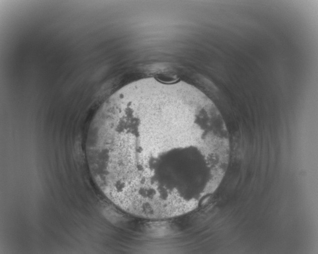 X0000066970377200604142147