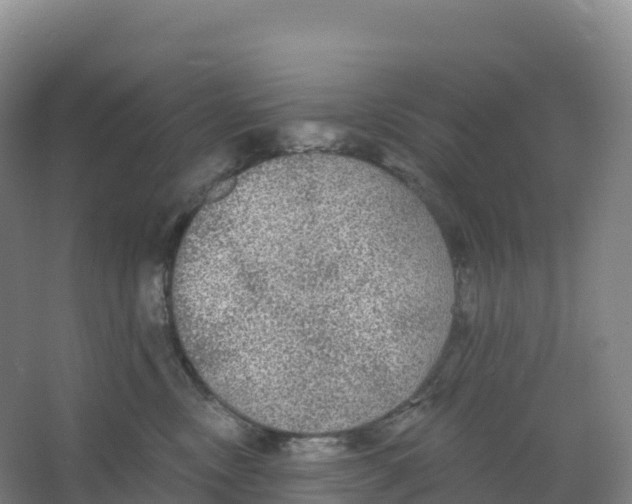 X0000066970378200604142147