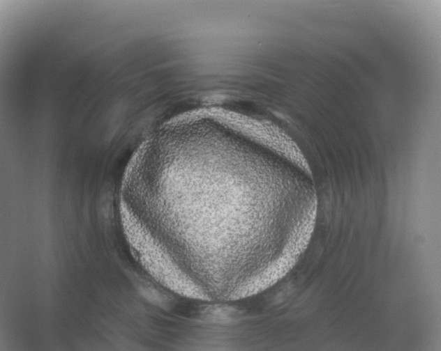 X0000066970379200604142147