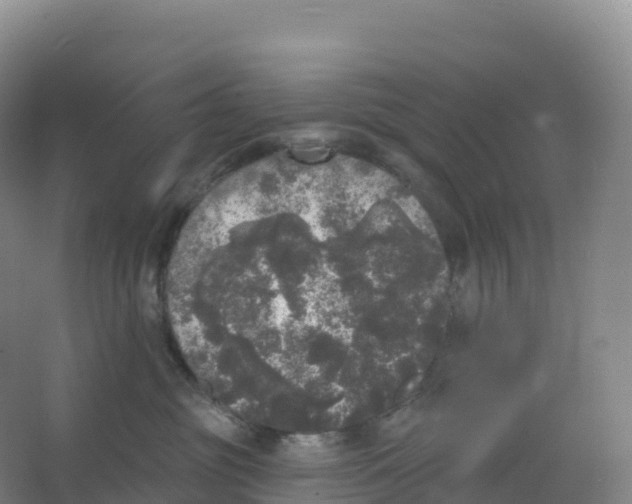 X0000066970381200604142147