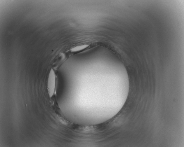 X0000066970384200604142147