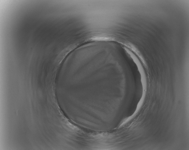 X0000066970385200604142146