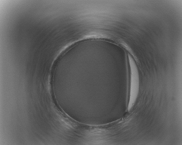 X0000066970387200604142146