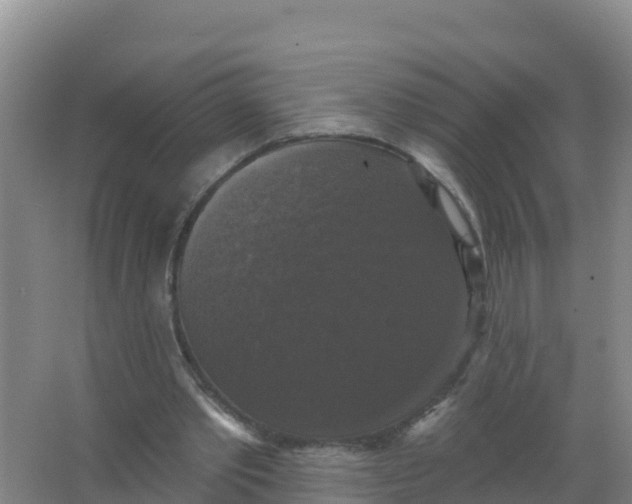 X0000066970389200604142146