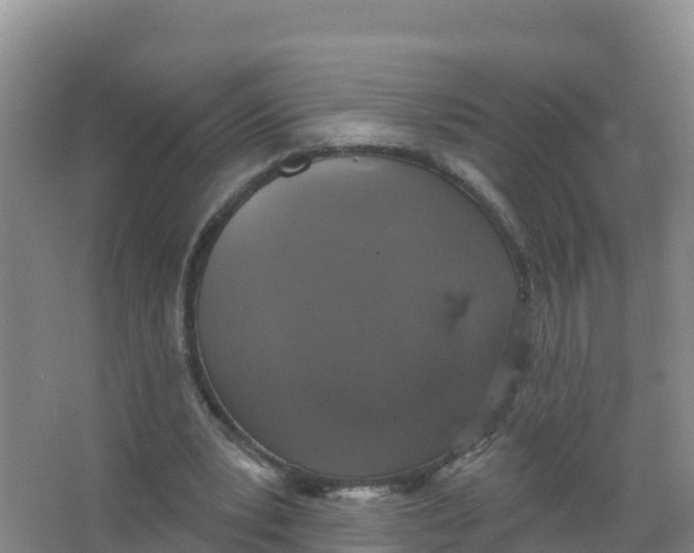 X0000066970391200604142146